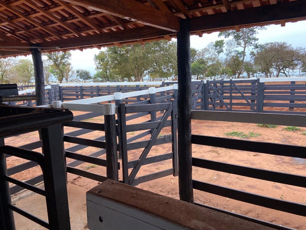 371057128_698483825658523_1477684993722262297_n