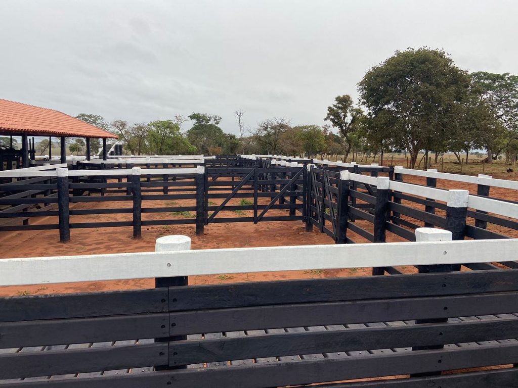 371057187_698483822325190_893164810434365980_n