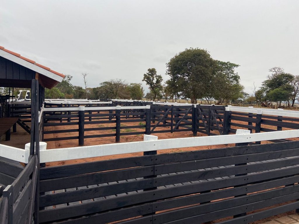 371095996_698483818991857_3164845120552113923_n