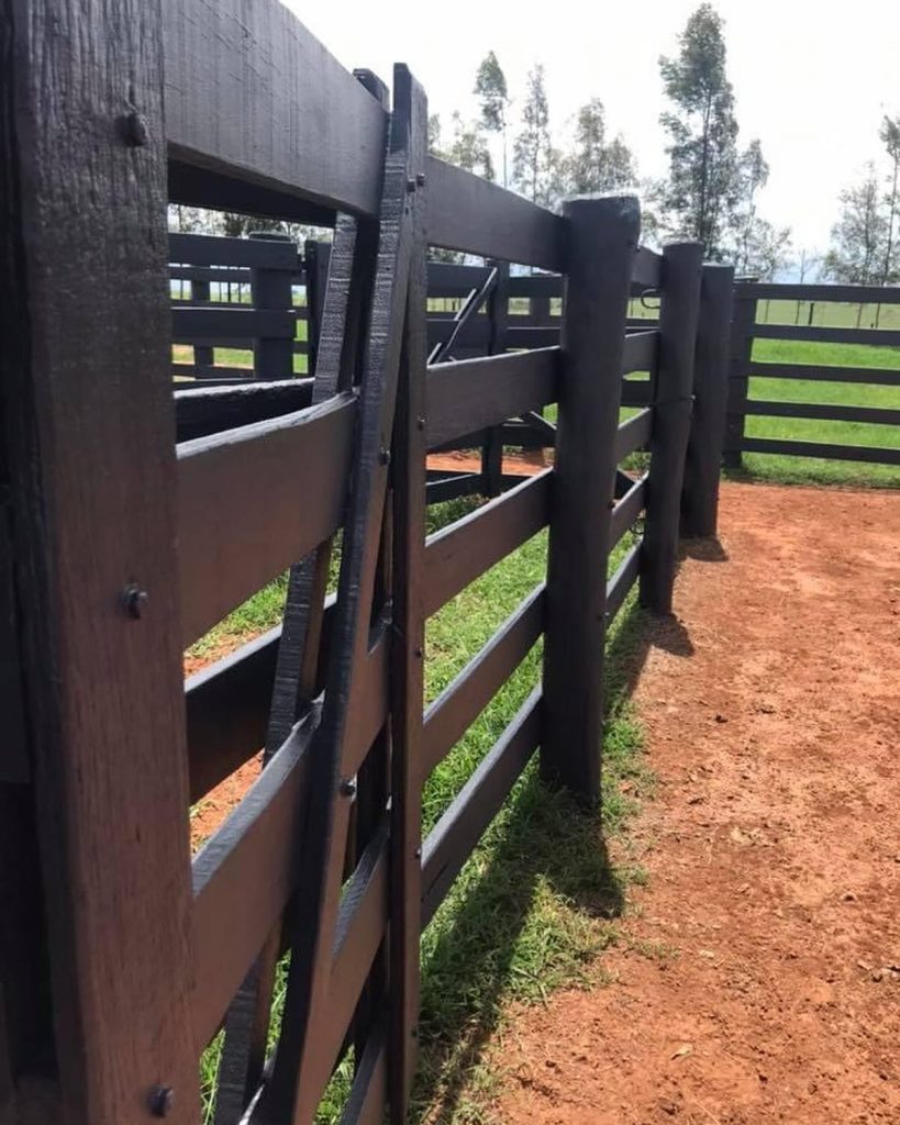 422234564_18301679932176524_1209082884480196755_n