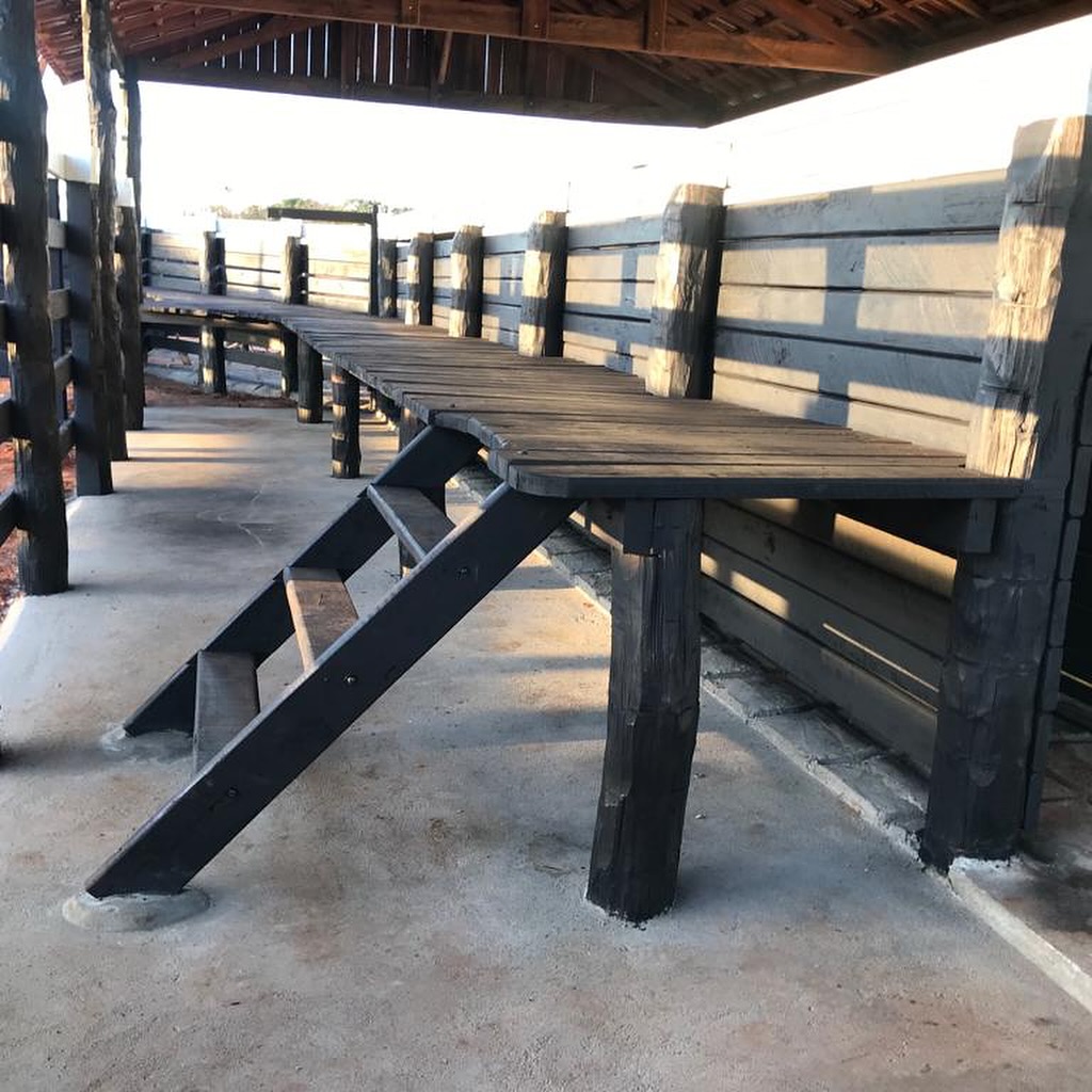 450509495_18322028002176524_5317720010686682973_n