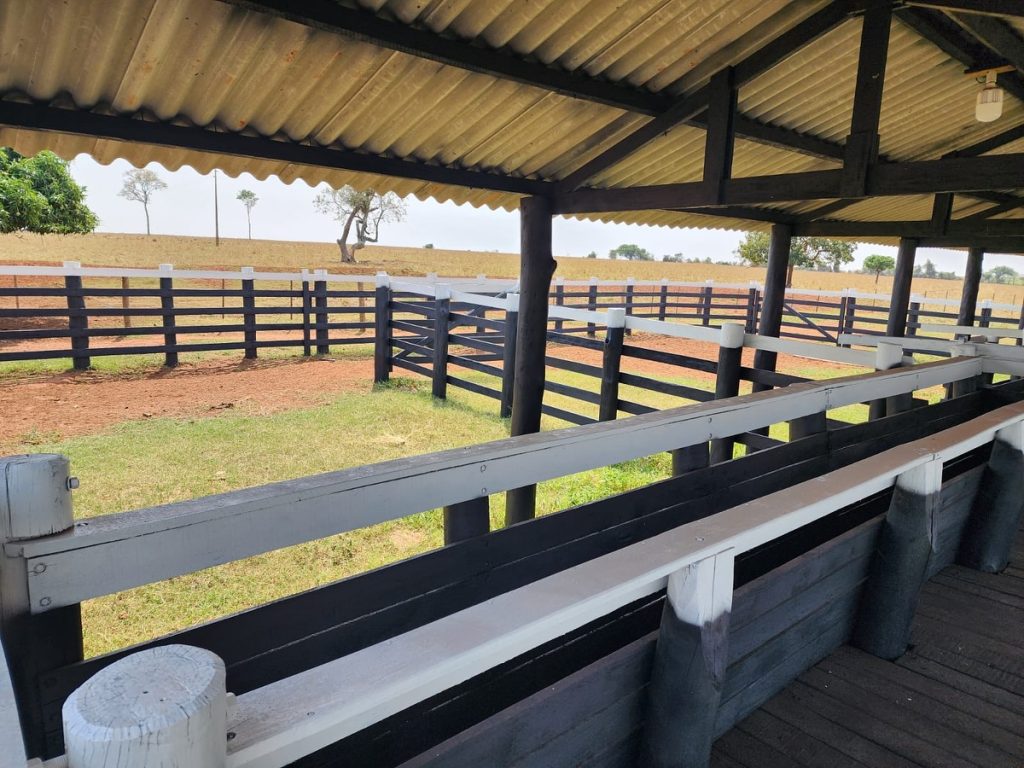 460850318_18331693381176524_2651932620261545648_n