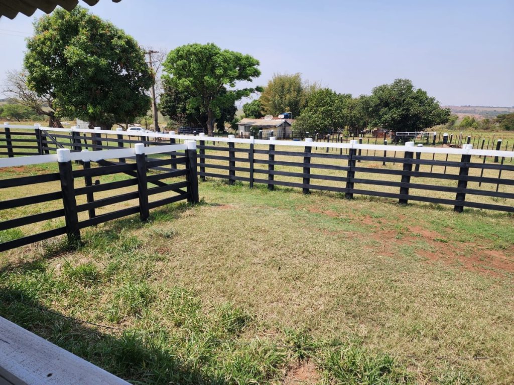 460890606_18331693414176524_7964875574087006020_n