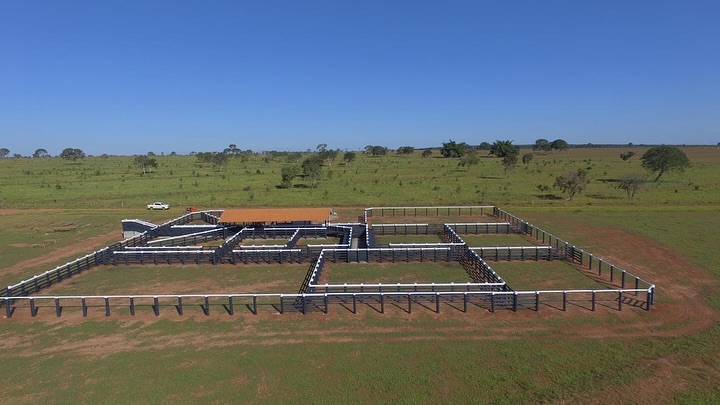 464371769_18335801947176524_487508545937379897_n